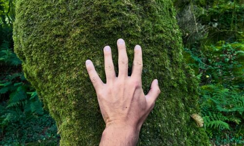 Co daje organizmowi kontakt z naturą?